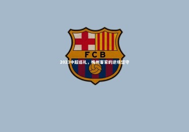 ng体育平台-2023中超巡礼，梅州客家的逆境坚守