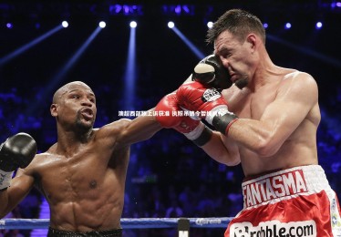 ng体育官网_澳超西部联上诉获准 执照吊销令暂缓执行